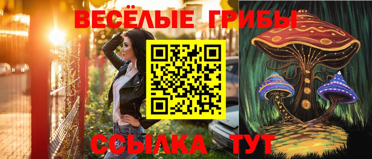 Галлюциногенные грибы Psilocybine cubensis Благовещенск