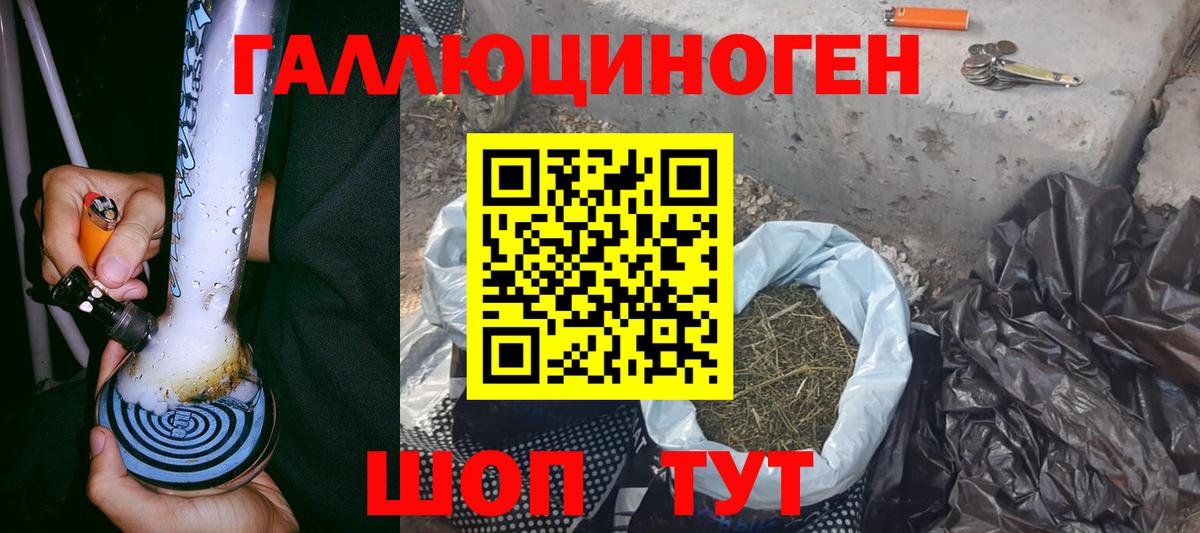 Псилоцибиновые грибы мицелий Благовещенск